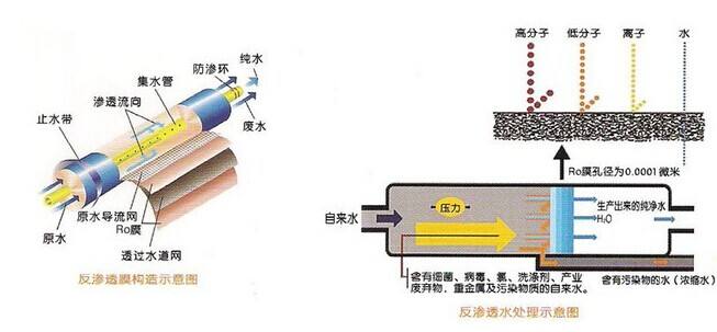 電子工業成人漫画免费入口
